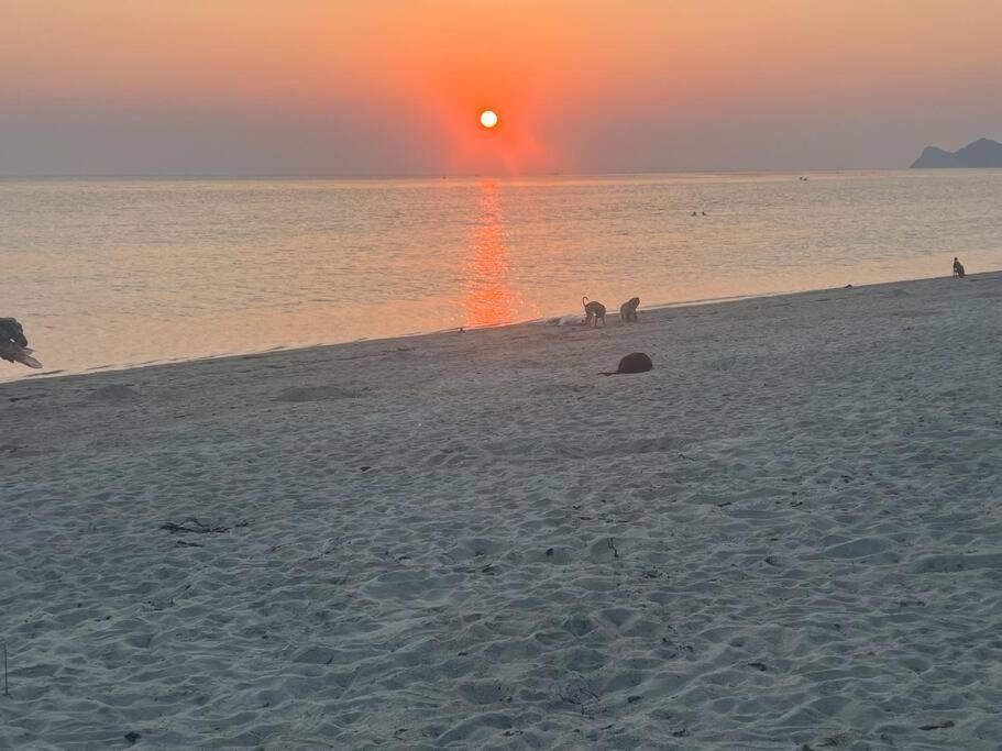 Sunset Serenity Cove Koh Phangan Exteriör bild