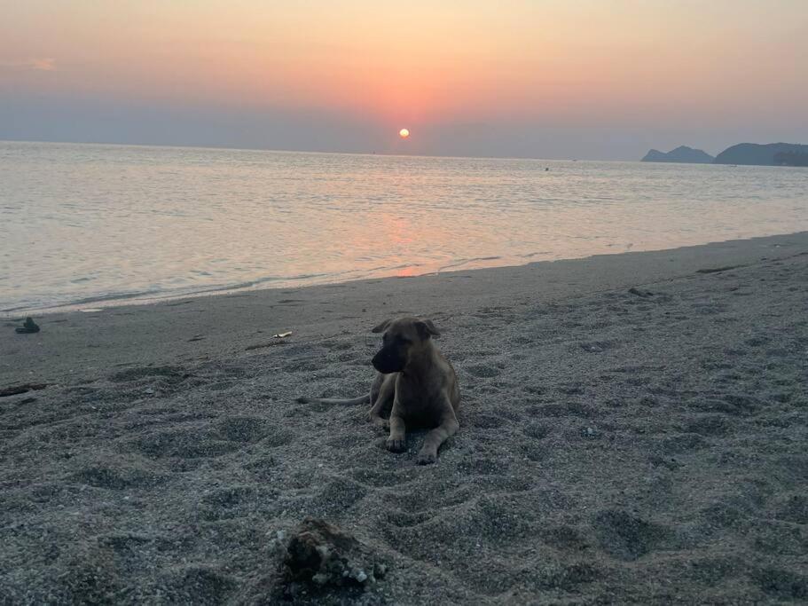 Sunset Serenity Cove Koh Phangan Exteriör bild